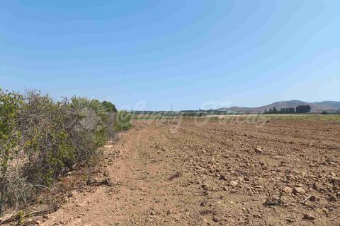 Landejendom i Caudete, Albacete, Caudete - € 87.000 | Ref: SF0540 - foto 18